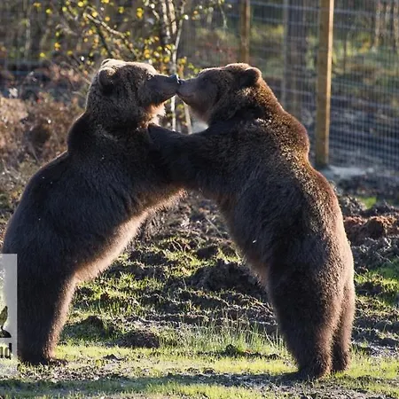 Ardmore - Failte Ireland Quality Assured * Muff