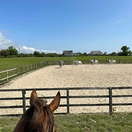 Ardmore - Failte Ireland Quality Assured Semesterbostad Muff