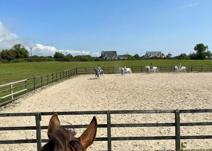 Ardmore - Failte Ireland Quality Assured Ferienhaus Muff